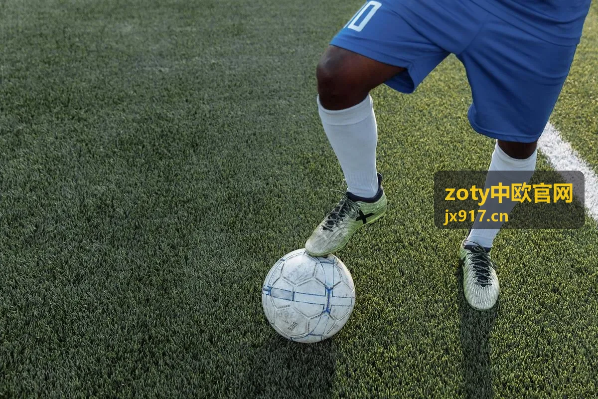 zoty中欧官网欧洲市场拓展方案的认证与产品标签合规